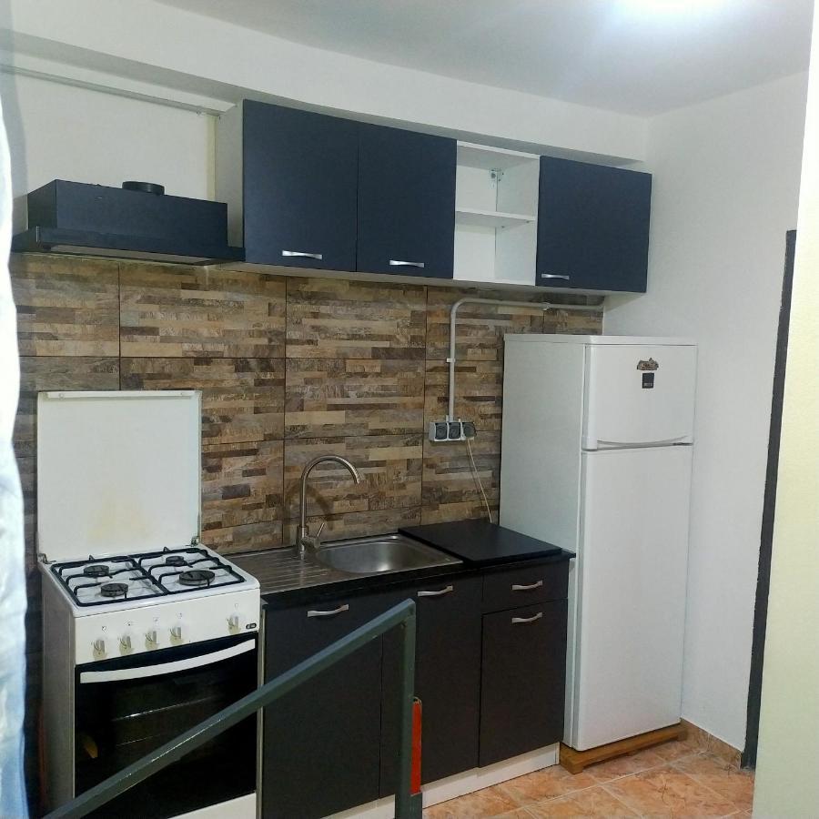 Vila Elena Ap 1 Bucarest Extérieur photo